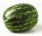 Photo Watermelon grade Vasko F1