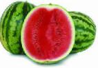 Photo Watermelon grade Dolbi F1