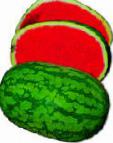 Foto Wassermelone klasse Stabolit F1 (bessemyannyjj)