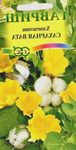 Foto Topfblumen Gossypium, Baumwollpflanze sträucher , gelb